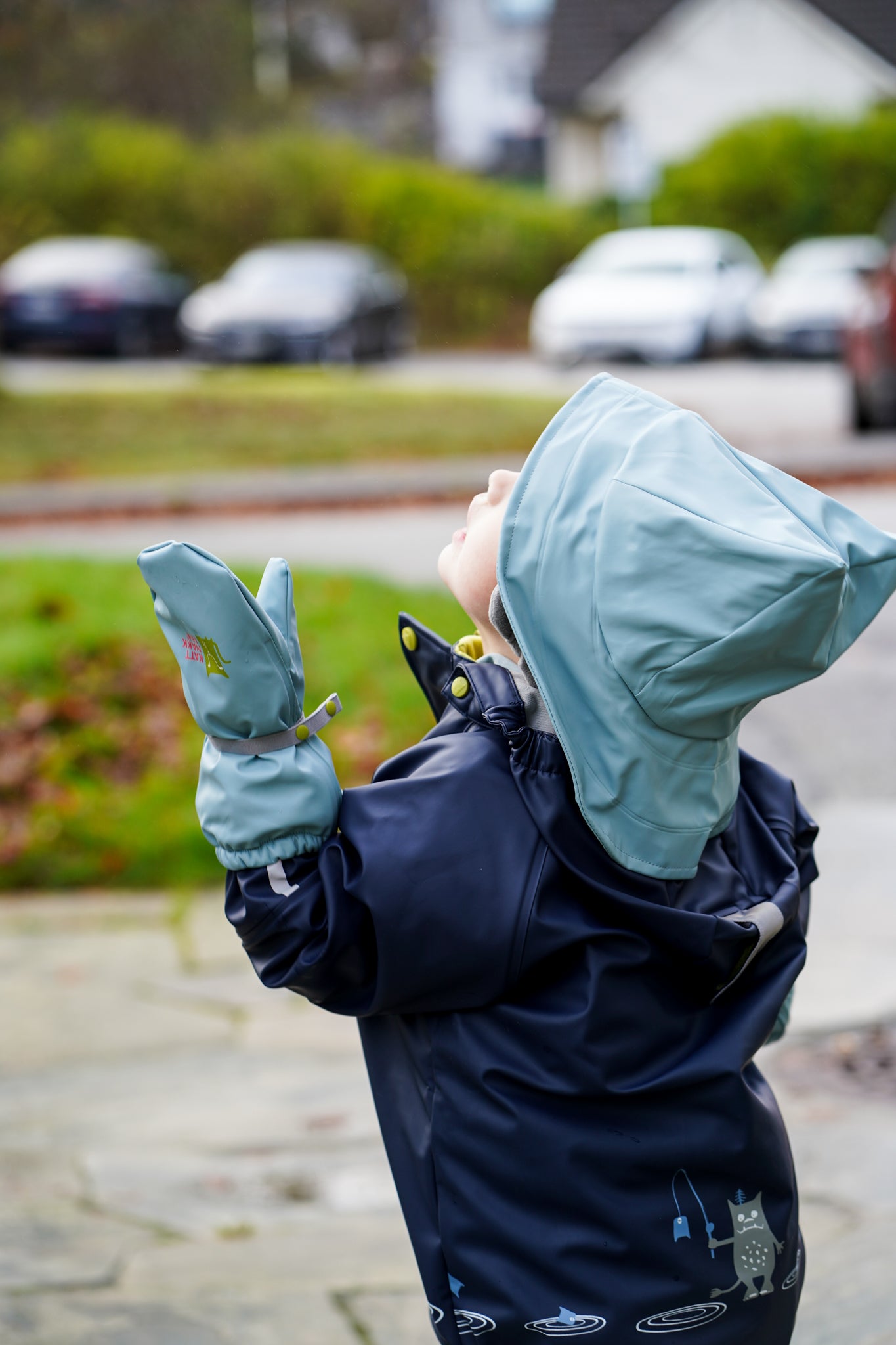 Sydvest - Tolvmeterskogen